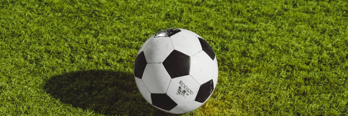 芝の上のサッカーボール